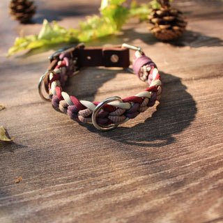 Paracord-Hundehalsband Ljus in Berry, mit braunem Fettlederriemen und Metallring auf Holz.