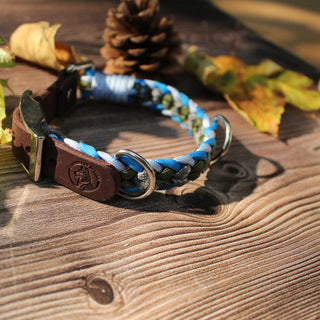 Paracord-Hundehalsband Ljus in Blau, mit braunem Fettlederriemen und Metallring auf Holz.