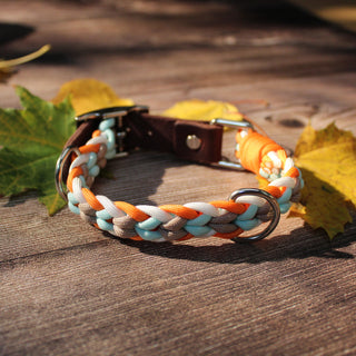 Paracord-Hundehalsband Ljus in Orange, mit braunem Fettlederriemen und Metallring auf Holz.