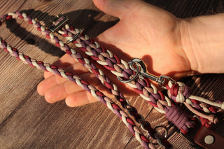 Paracord-Leine Ljus in Berry auf einer Hand zur Größeneinordnung von Flechtung und Karabiner; daneben ein Halsband mit Fettlederriemen.