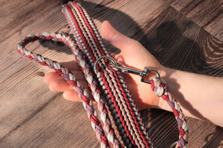 Paracord-Hundeleine Tjock in Berry in der Hand als Größenvergleich, Leashes of Sweden