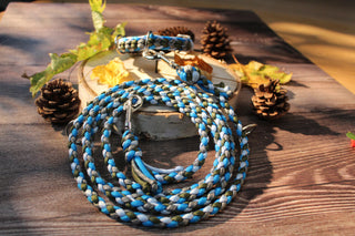 Paracord-Hundeleine Ljus in Blau, aufgerollt vor einem Halsband Ljus mit Fettlederriemen auf einer Holzscheibe.